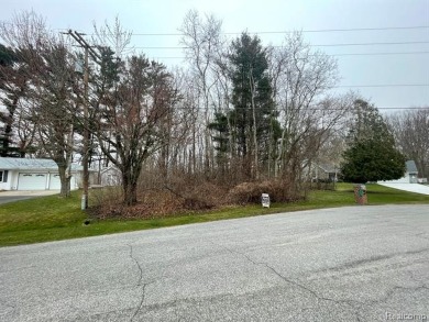 Fantastic buildable lot at dead end portion of cul-de-sac in on Port Huron Elks Golf Club in Michigan - for sale on GolfHomes.com, golf home, golf lot