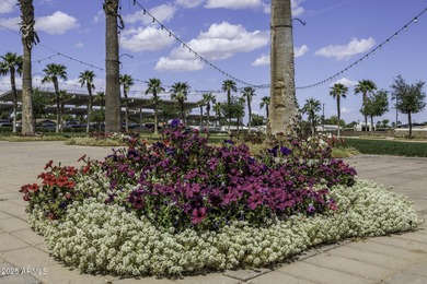 This meticulously maintained home is beautiful and luxurious on Palm Creek Golf and RV Resort in Arizona - for sale on GolfHomes.com, golf home, golf lot
