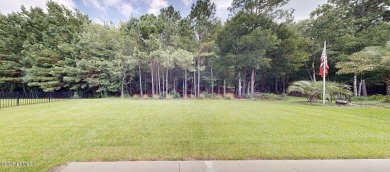 Immaculate One-Level Home with Rare Custom Features and Premium on Hilton Head Lakes Golf Club in South Carolina - for sale on GolfHomes.com, golf home, golf lot