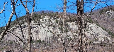 Stunning 3-acre tract is available with incredible views around on The Cliffs at Glassy Golf and Country Club in South Carolina - for sale on GolfHomes.com, golf home, golf lot