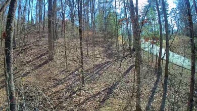 Middleton Estates is located 5 minutes off of 136, less than 10 on Trenton Golf Club in Tennessee - for sale on GolfHomes.com, golf home, golf lot