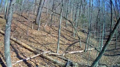 Middleton Estates is located 5 minutes off of 136, less than 10 on Trenton Golf Club in Tennessee - for sale on GolfHomes.com, golf home, golf lot
