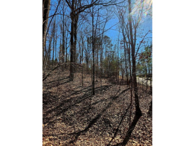 Middleton Estates is located 5 minutes off of 136, less than 10 on Trenton Golf Club in Tennessee - for sale on GolfHomes.com, golf home, golf lot