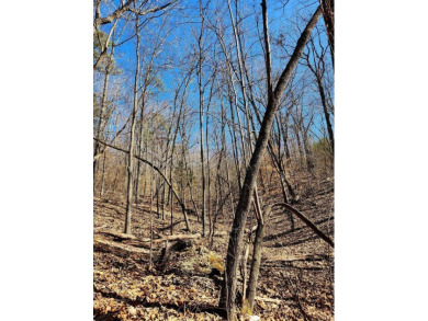 Middleton Estates is located 5 minutes off of 136, less than 10 on Trenton Golf Club in Tennessee - for sale on GolfHomes.com, golf home, golf lot