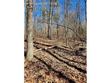 Middleton Estates is located 5 minutes off of 136, less than 10 on Trenton Golf Club in Tennessee - for sale on GolfHomes.com, golf home, golf lot