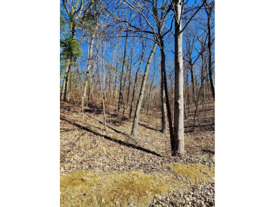Middleton Estates is located 5 minutes off of 136, less than 10 on Trenton Golf Club in Tennessee - for sale on GolfHomes.com, golf home, golf lot