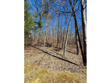Middleton Estates is located 5 minutes off of 136, less than 10 on Trenton Golf Club in Tennessee - for sale on GolfHomes.com, golf home, golf lot
