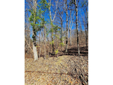 Middleton Estates is located 5 minutes off of 136, less than 10 on Trenton Golf Club in Tennessee - for sale on GolfHomes.com, golf home, golf lot