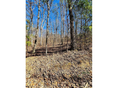 Middleton Estates is located 5 minutes off of 136, less than 10 on Trenton Golf Club in Tennessee - for sale on GolfHomes.com, golf home, golf lot