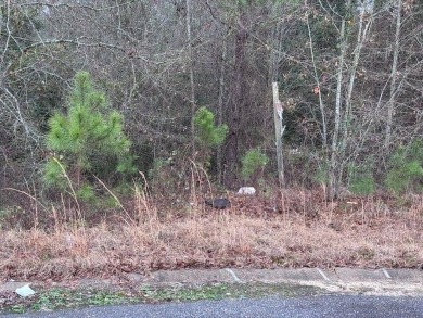 A large 1.24-acre wooded cul-de-sec lot in Oakview Subdivision on Oakview Golf and Country Club in Georgia - for sale on GolfHomes.com, golf home, golf lot