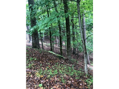 Build your dream home on this 0.78-acre buildable lot in the on Big Canoe Golf Club - Cherokee in Georgia - for sale on GolfHomes.com, golf home, golf lot
