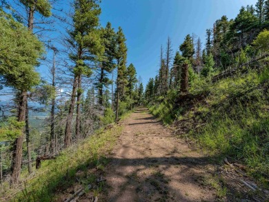 Be amazed by 180 degrees of unobstructed views with this 5 on Angel Fire Resort Country Club in New Mexico - for sale on GolfHomes.com, golf home, golf lot