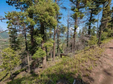 Be amazed by 180 degrees of unobstructed views with this 5 on Angel Fire Resort Country Club in New Mexico - for sale on GolfHomes.com, golf home, golf lot