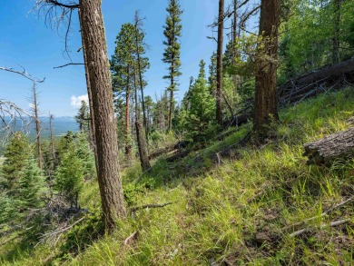 Be amazed by 180 degrees of unobstructed views with this 5 on Angel Fire Resort Country Club in New Mexico - for sale on GolfHomes.com, golf home, golf lot