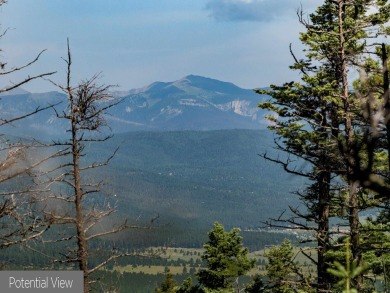 Be amazed by 180 degrees of unobstructed views with this 5 on Angel Fire Resort Country Club in New Mexico - for sale on GolfHomes.com, golf home, golf lot