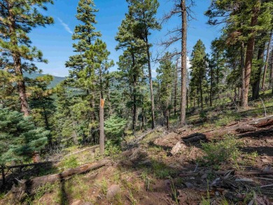 Be amazed by 180 degrees of unobstructed views with this 5 on Angel Fire Resort Country Club in New Mexico - for sale on GolfHomes.com, golf home, golf lot