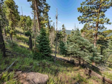 Be amazed by 180 degrees of unobstructed views with this 5 on Angel Fire Resort Country Club in New Mexico - for sale on GolfHomes.com, golf home, golf lot