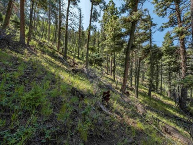 Be amazed by 180 degrees of unobstructed views with this 5 on Angel Fire Resort Country Club in New Mexico - for sale on GolfHomes.com, golf home, golf lot