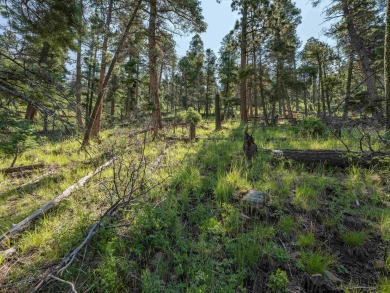 Be amazed by 180 degrees of unobstructed views with this 5 on Angel Fire Resort Country Club in New Mexico - for sale on GolfHomes.com, golf home, golf lot