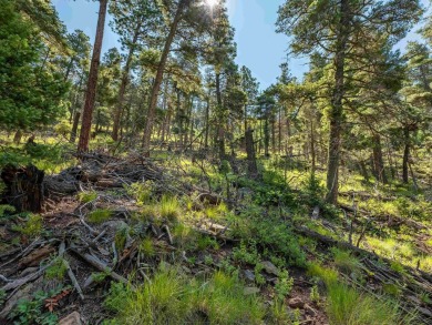 Be amazed by 180 degrees of unobstructed views with this 5 on Angel Fire Resort Country Club in New Mexico - for sale on GolfHomes.com, golf home, golf lot