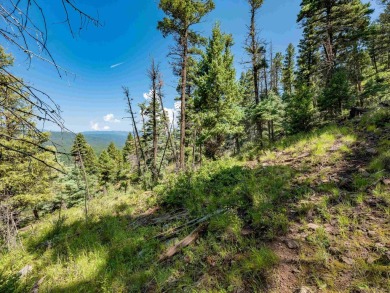 Be amazed by 180 degrees of unobstructed views with this 5 on Angel Fire Resort Country Club in New Mexico - for sale on GolfHomes.com, golf home, golf lot