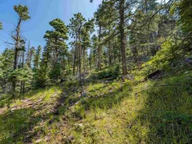 Be amazed by 180 degrees of unobstructed views with this 5 on Angel Fire Resort Country Club in New Mexico - for sale on GolfHomes.com, golf home, golf lot