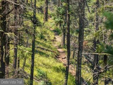 Be amazed by 180 degrees of unobstructed views with this 5 on Angel Fire Resort Country Club in New Mexico - for sale on GolfHomes.com, golf home, golf lot