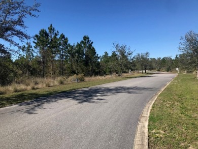Build your dream home on this shovel ready premium lot in The on Saint Josephs Bay Country Club in Florida - for sale on GolfHomes.com, golf home, golf lot
