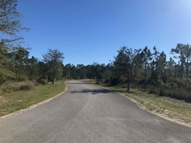 Build your dream home on this shovel ready premium lot in The on Saint Josephs Bay Country Club in Florida - for sale on GolfHomes.com, golf home, golf lot