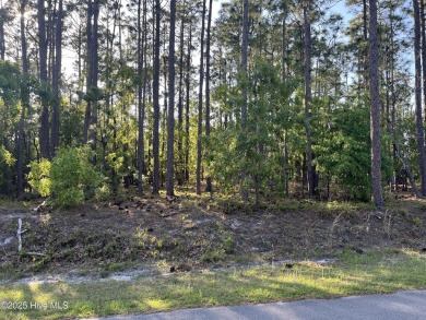 Quiet neighborhood NE of Patricia Lake, near Alton-Lennon Park on The Lakes Country Club in North Carolina - for sale on GolfHomes.com, golf home, golf lot
