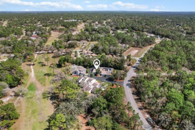 Charming 2 Bed, 2.5 Bath Townhome in a Tranquil 55+ Community on Sugarmill Woods Golf and Country Club in Florida - for sale on GolfHomes.com, golf home, golf lot
