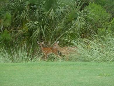 Gorgeous Ashbury Condo with WONDERFUL views of the 2nd Hole of on Cedar Hammock Golf and Country Club in Florida - for sale on GolfHomes.com, golf home, golf lot