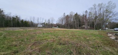 Two level abutting building lots being sold as one in a highly on J.W. Parks Golf Course in Maine - for sale on GolfHomes.com, golf home, golf lot