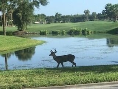 Gorgeous Ashbury Condo with WONDERFUL views of the 2nd Hole of on Cedar Hammock Golf and Country Club in Florida - for sale on GolfHomes.com, golf home, golf lot