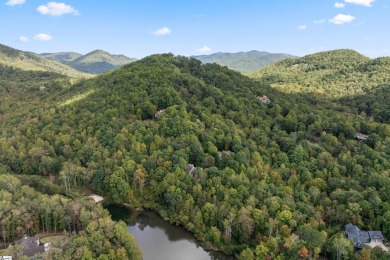 Treehouse-Style Luxury Home with Lake & Mountain Views in the on The Cliffs Valley Golf Course in South Carolina - for sale on GolfHomes.com, golf home, golf lot