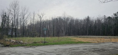 Wonderful level and open corner lot with views of JW Parks Golf on J.W. Parks Golf Course in Maine - for sale on GolfHomes.com, golf home, golf lot