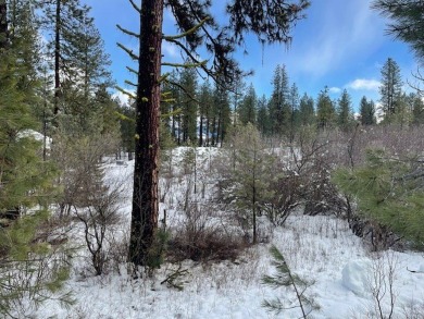 Prime MeadowCreek golf lot directly fronting the 14th green on Meadowcreek Golf Resort in Idaho - for sale on GolfHomes.com, golf home, golf lot