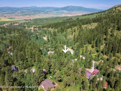 Tucked into the trees on a quiet street in Star Valley Ranch on Star Valley RV Golf Course in Wyoming - for sale on GolfHomes.com, golf home, golf lot