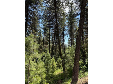 Timbered building lot in MeadowCreek Golf Resort. Located off of on Meadowcreek Golf Resort in Idaho - for sale on GolfHomes.com, golf home, golf lot