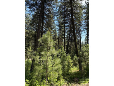 Timbered building lot in MeadowCreek Golf Resort. Located off of on Meadowcreek Golf Resort in Idaho - for sale on GolfHomes.com, golf home, golf lot