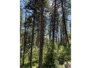 Timbered building lot in MeadowCreek Golf Resort. Located off of on Meadowcreek Golf Resort in Idaho - for sale on GolfHomes.com, golf home, golf lot
