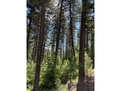 Timbered building lot in MeadowCreek Golf Resort. Located off of on Meadowcreek Golf Resort in Idaho - for sale on GolfHomes.com, golf home, golf lot