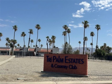 Welcome to Tri Palm Estates  Country Club!. This cement lot is on The Club At Shenandoah Springs in California - for sale on GolfHomes.com, golf home, golf lot