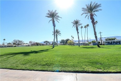 Welcome to Tri Palm Estates  Country Club!. This cement lot is on The Club At Shenandoah Springs in California - for sale on GolfHomes.com, golf home, golf lot