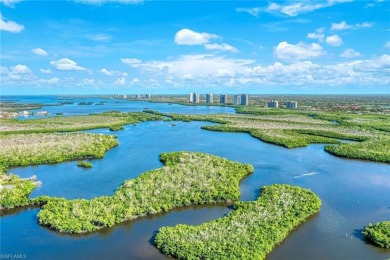 Burning Tree in Bonita Bay is an intimate neighborhood that on Bonita Bay West in Florida - for sale on GolfHomes.com, golf home, golf lot