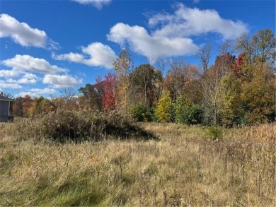 With a wooded backdrop this beautiful lot has great potential on The Amery Golf Club in Wisconsin - for sale on GolfHomes.com, golf home, golf lot