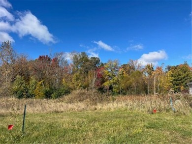 With a wooded backdrop this beautiful lot has great potential on The Amery Golf Club in Wisconsin - for sale on GolfHomes.com, golf home, golf lot