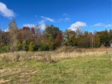 With a wooded backdrop this beautiful lot has great potential on The Amery Golf Club in Wisconsin - for sale on GolfHomes.com, golf home, golf lot