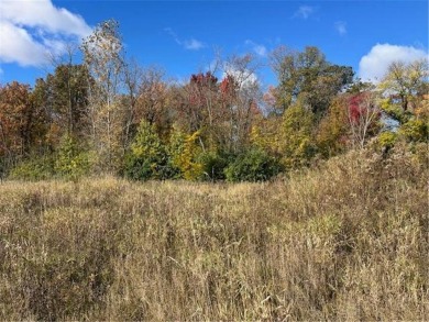 With a wooded backdrop this beautiful lot has great potential on The Amery Golf Club in Wisconsin - for sale on GolfHomes.com, golf home, golf lot