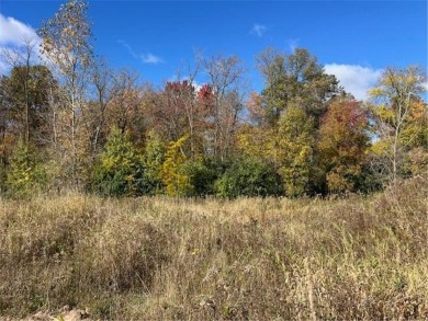 With a wooded backdrop this beautiful lot has great potential on The Amery Golf Club in Wisconsin - for sale on GolfHomes.com, golf home, golf lot